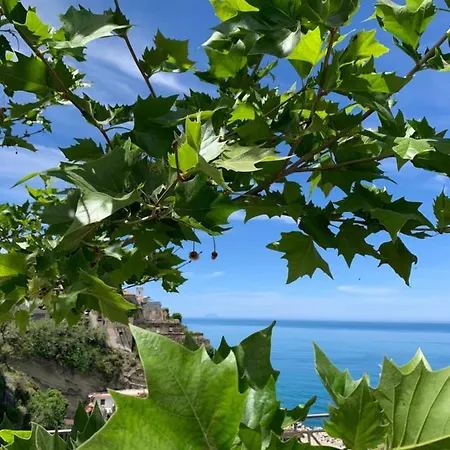 Apartment Sea Calm Pizzo (Calabria)